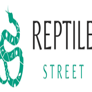 ReptileStreet  Source on All Reptiles